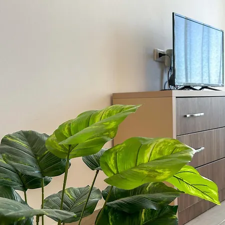 Apartment Agimi 818 *